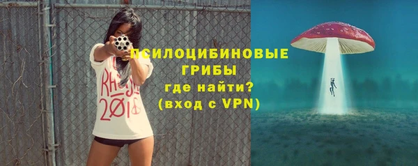 индика Снежногорск