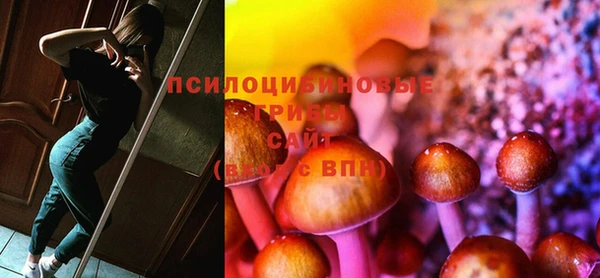 стафф Баксан